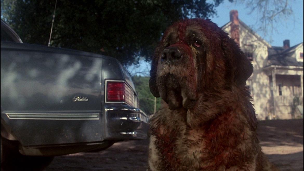 Watch Cujo Online Free HD